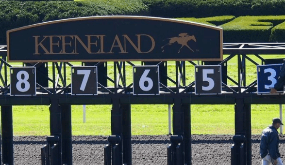 01a425d977ee437b9b729b2e1382f5f0.png 01a425d977ee437b9b729b2e1382f5f0.png