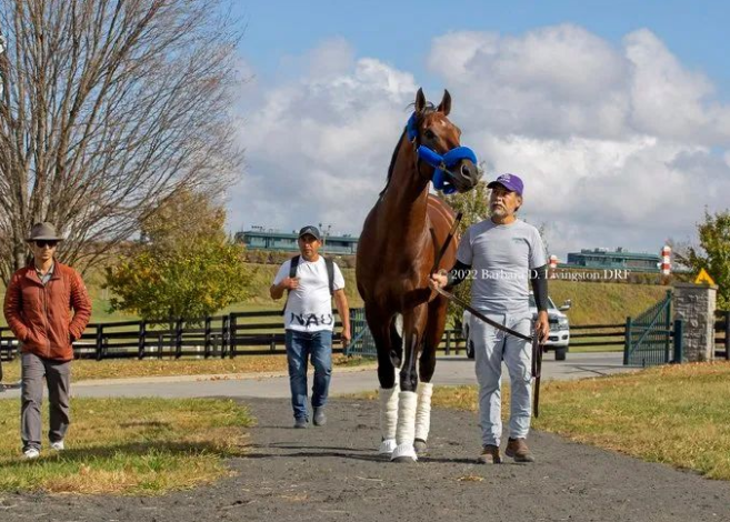 6380360862385320825099366.png 6380360862385320825099366.png