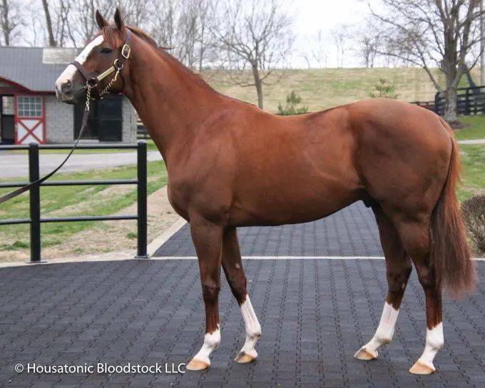 b0881bda83d14594809ccc81378a70b5.jpeg b0881bda83d14594809ccc81378a70b5.jpeg