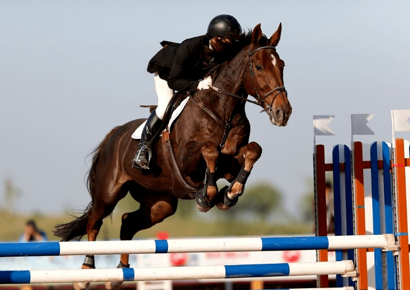 1587415f9c474c529616eaa7955021cc.png 1587415f9c474c529616eaa7955021cc.png