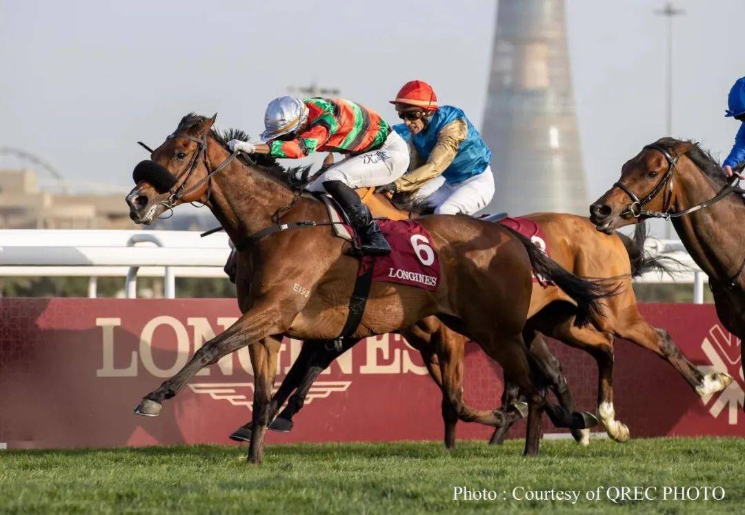 b494a716aabe428e8af83c1043b1df6e.jpeg b494a716aabe428e8af83c1043b1df6e.jpeg