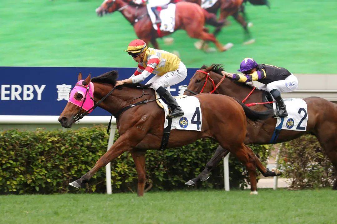 11830331b827462286b09321b0fd9a7f.jpeg 11830331b827462286b09321b0fd9a7f.jpeg