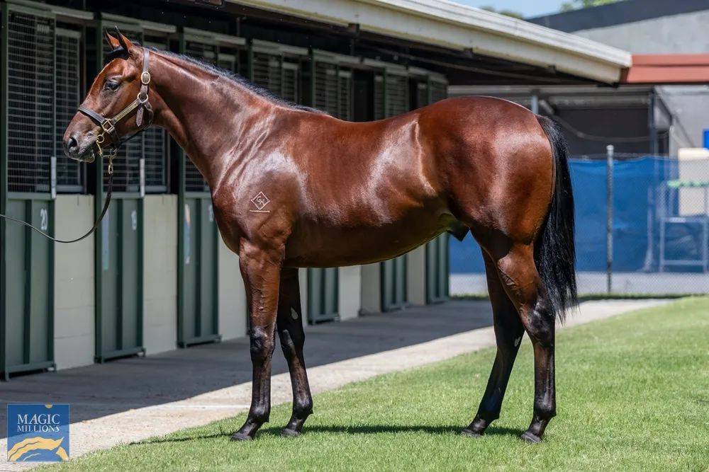 2991eca0e3db489991adcb8e1bf4428d.jpeg 2991eca0e3db489991adcb8e1bf4428d.jpeg