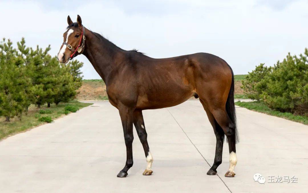 3702320c6d804be7891d31b728c1b34a.jpeg 3702320c6d804be7891d31b728c1b34a.jpeg