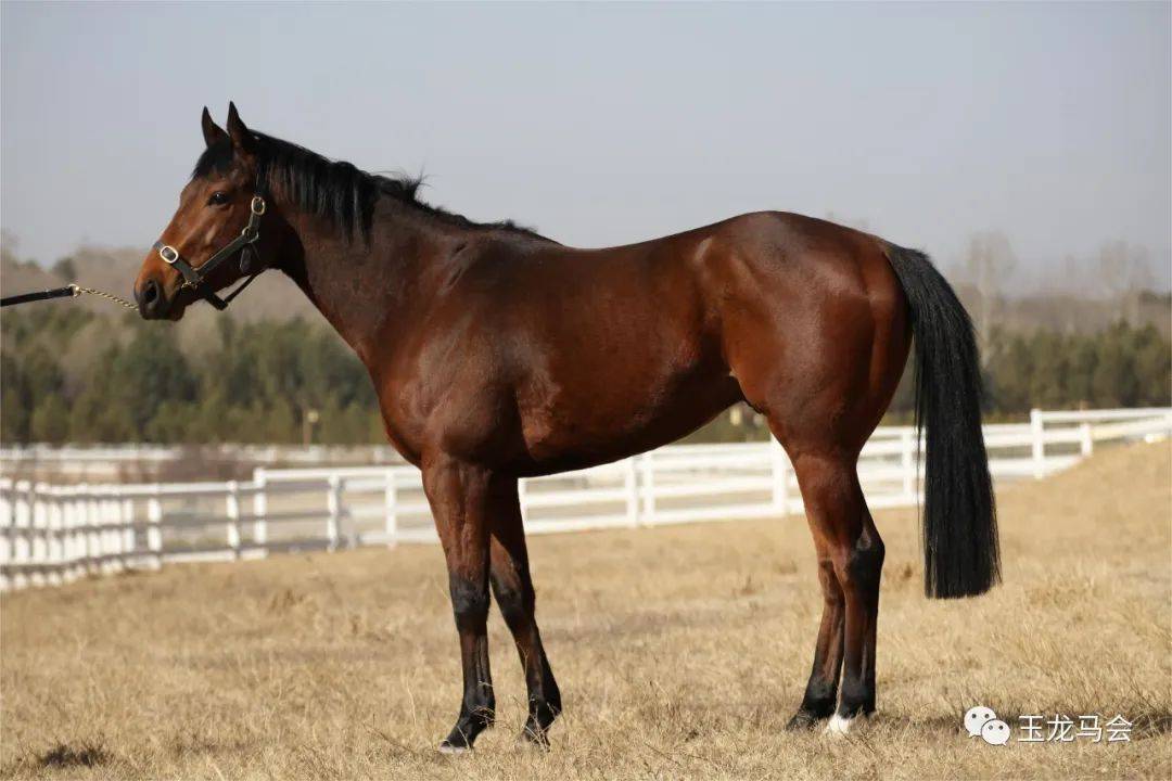 ffe743a1ead245cb8ffa5e47f82ce2d9.jpeg ffe743a1ead245cb8ffa5e47f82ce2d9.jpeg