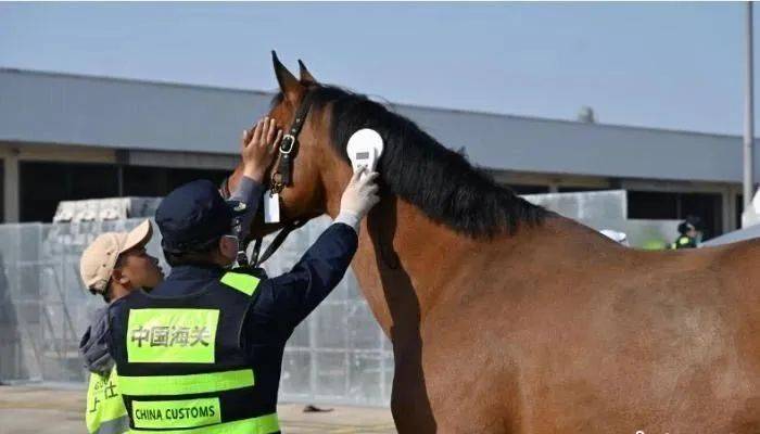 3cc7c9d9004a4d0098cd2dd27024c425.jpeg 3cc7c9d9004a4d0098cd2dd27024c425.jpeg