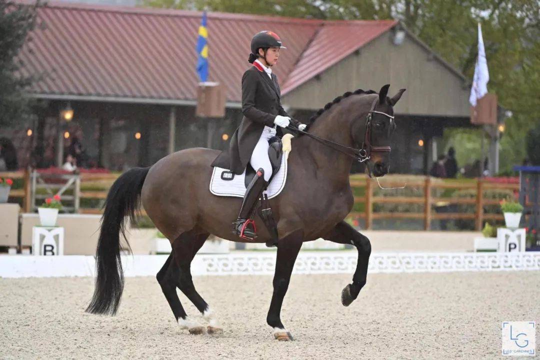 33e6e178188749c397e5b24e1a43e2bd.jpeg 33e6e178188749c397e5b24e1a43e2bd.jpeg