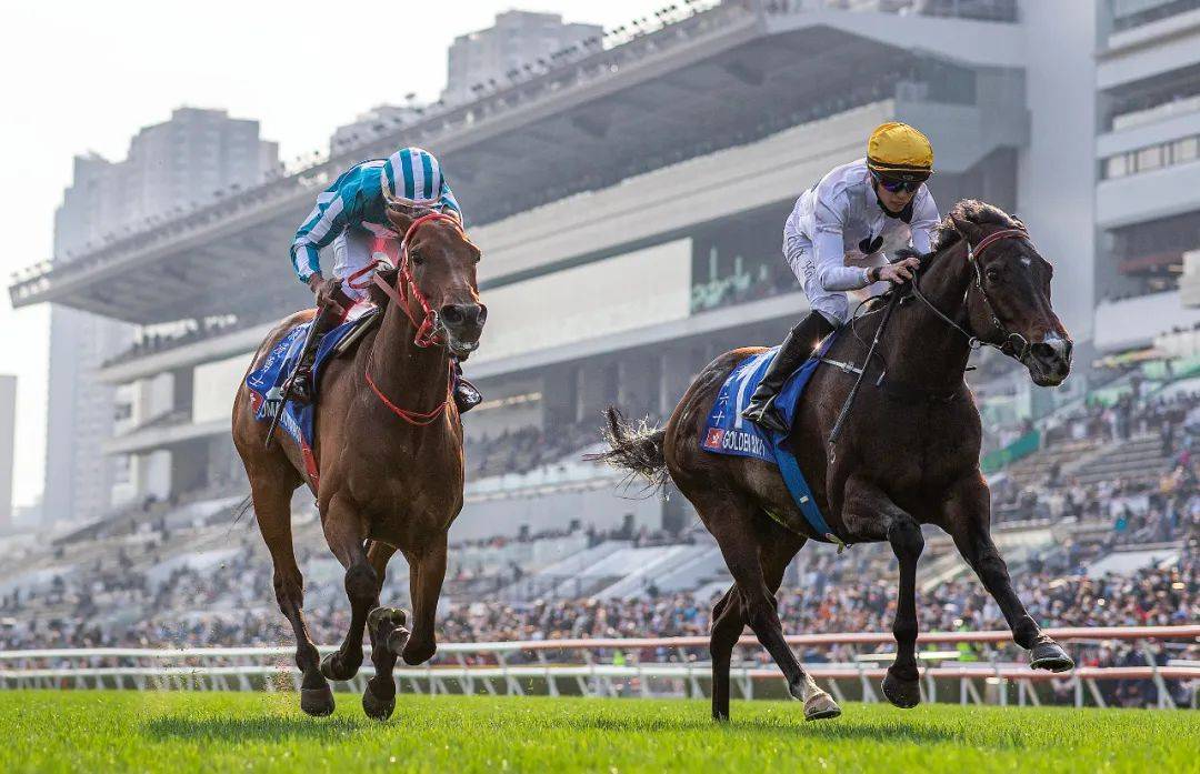 48ed62c319704091b8fa0111da926023.jpeg 48ed62c319704091b8fa0111da926023.jpeg