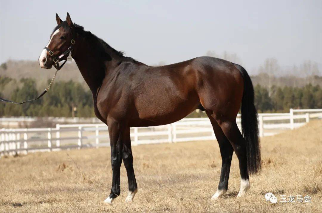 4b5d69a31b374d438ea0f9ee50efb94c.jpeg 4b5d69a31b374d438ea0f9ee50efb94c.jpeg