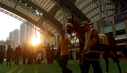 news-twilight-230505-422x242.jpg news-twilight-230505-422x242.jpg