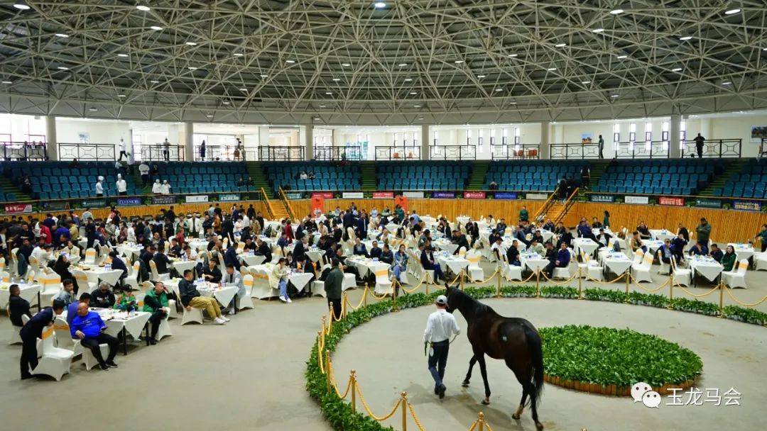 b69307d63efd41a88ae5ad686ed757b2.jpeg b69307d63efd41a88ae5ad686ed757b2.jpeg