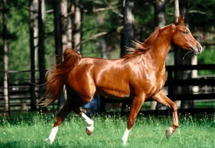 9a877817374140dd91fe4016c1d936f1.png 9a877817374140dd91fe4016c1d936f1.png