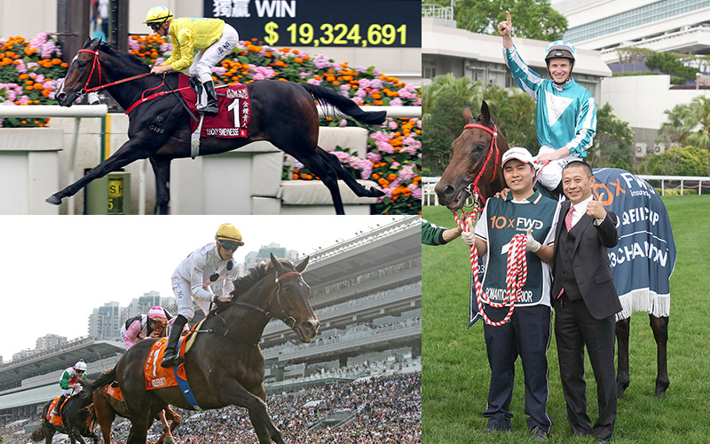 mmr-9-CD_H.jpg mmr-9-CD_H.jpg