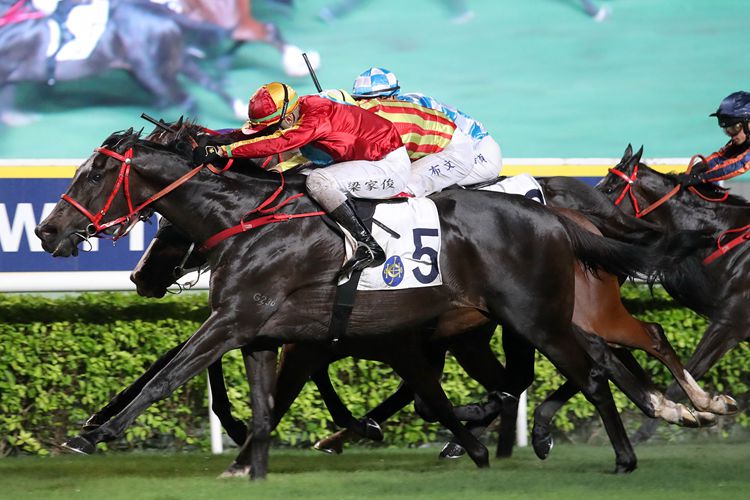 2、这张放在头部滚动焦点图_副本.jpg 2、这张放在头部滚动焦点图_副本.jpg