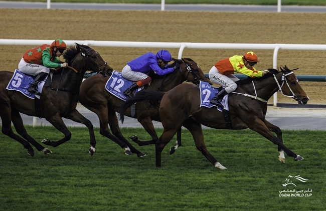 微信图片_20240330220546.jpg 微信图片_20240330220546.jpg