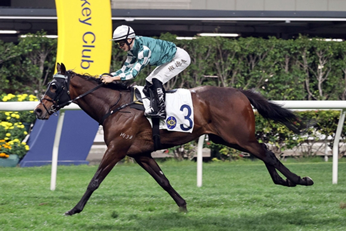 4-Show-Respect-baf471f1-ae47-461a-bfc9-6dec39af2e24 (1).jpg 4-Show-Respect-baf471f1-ae47-461a-bfc9-6dec39af2e24 (1).jpg