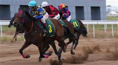 蒙古马首次登上2026年全国速度赛马锦标赛!