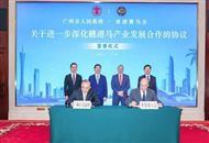 重磅!穗港签约,2030年建成世界级大湾区马产业合作区