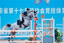 惠州队吴雨宸登顶1.20米级个人赛，广东省第十七届运动会竞技体育组马术比赛圆满落幕！