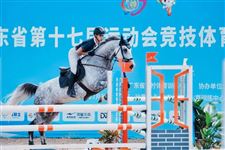 深圳队狂揽五金，广东省第十七届运动会竞技体育组马术比赛圆满落幕！